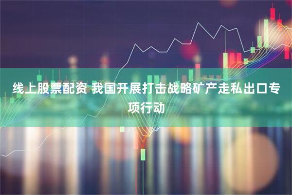 线上股票配资 我国开展打击战略矿产走私出口专项行动