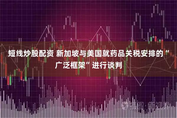 短线炒股配资 新加坡与美国就药品关税安排的“广泛框架”进行谈判
